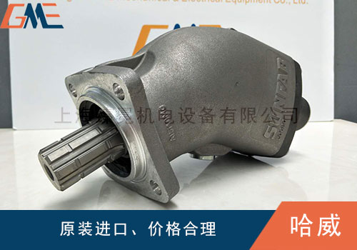 HAWE哈威液壓泵會出現(xiàn)哪些故障，如何解決？